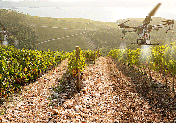 Опыт внедрения RPA-систем и ИИ-ассистентов в сельском хозяйстве